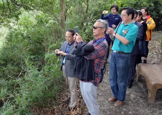 文学大咖醉情东莞观音山 点赞观音文化