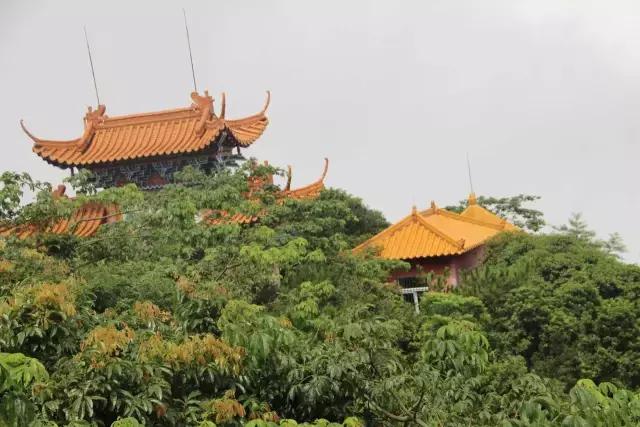 雨天游东莞观音山，别有一番滋味！