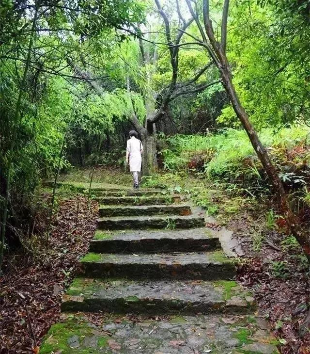 雨天游东莞观音山，别有一番滋味！