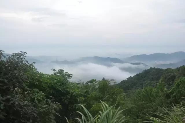 雨天游东莞观音山，别有一番滋味！