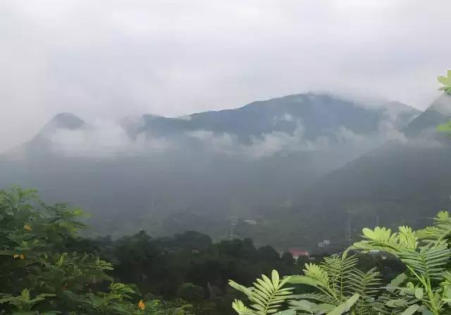 雨天游东莞观音山，别有一番滋味！