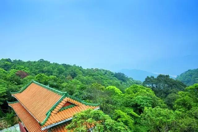 浓情端午 粽享出游,东莞观音山给您一个非去不可的理由