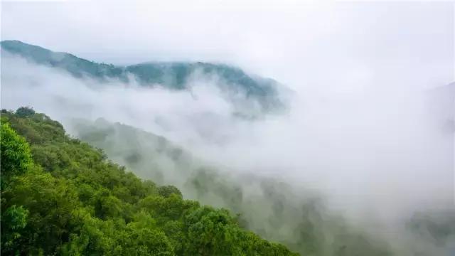 九月，遇见醉美东莞观音山