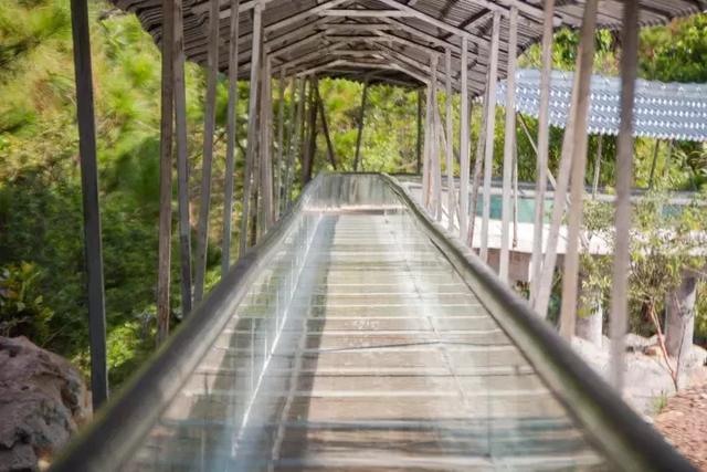 醉美观音山,东莞首家玻璃栈道国庆开放-景区公