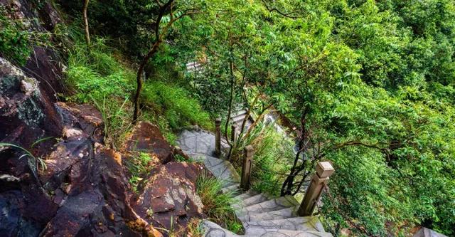 看观音山相思花雨 做幸福的人