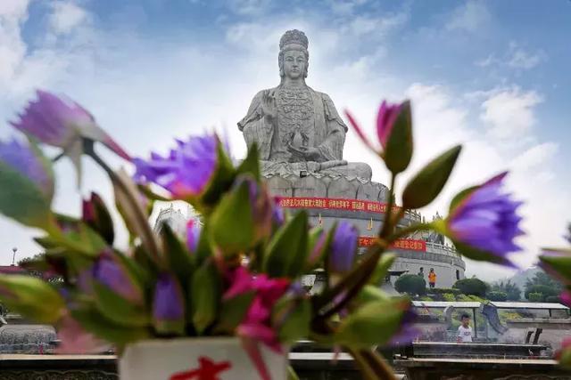 看观音山相思花雨 做幸福的人