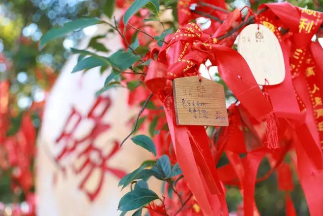 2018，等一个人陪我去东莞观音山