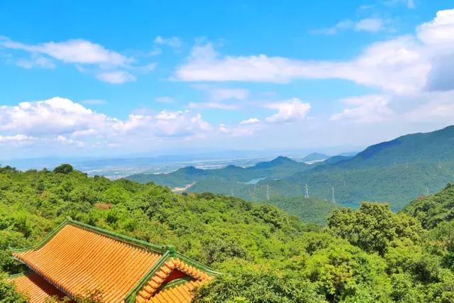 假如送你一扇任意门，你想去哪？