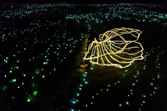 夜太美，不想睡！观音山梦幻派对让你幸福感爆棚