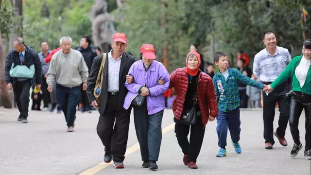 登高徒步东莞观音山，一起赏花过暖冬