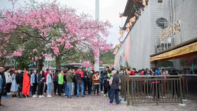 登高徒步东莞观音山，一起赏花过暖冬