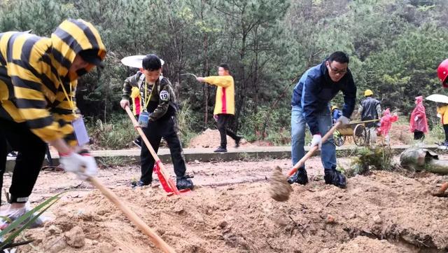 植树节来临之际，游客在观音山冒雨植树热情高