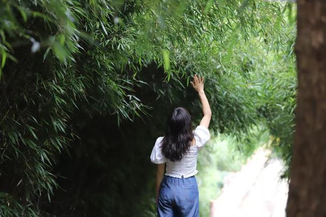 在东莞寻觅一份清凉，过最自在的夏日时光