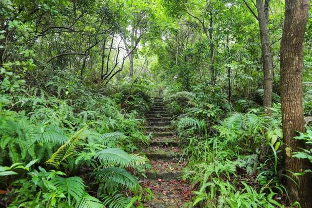 东莞观音山，空山新雨后，天气晚来秋