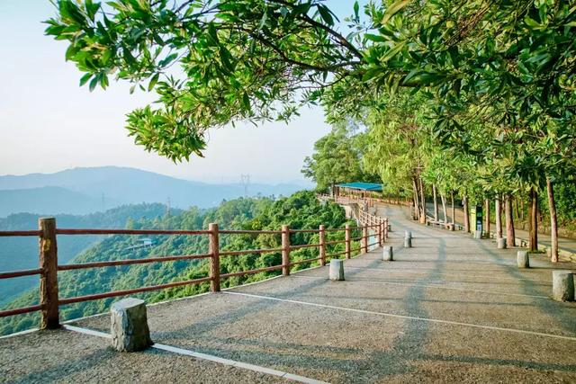 秋探东莞观音山，带你欣赏不一样的美景