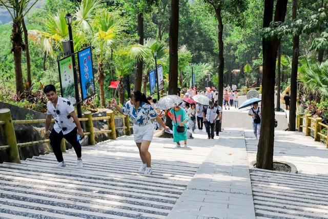 漫山花开时，来东莞观音山开启享冬之旅