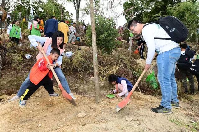 走进大森林，东莞观音山上共筑凤凰林