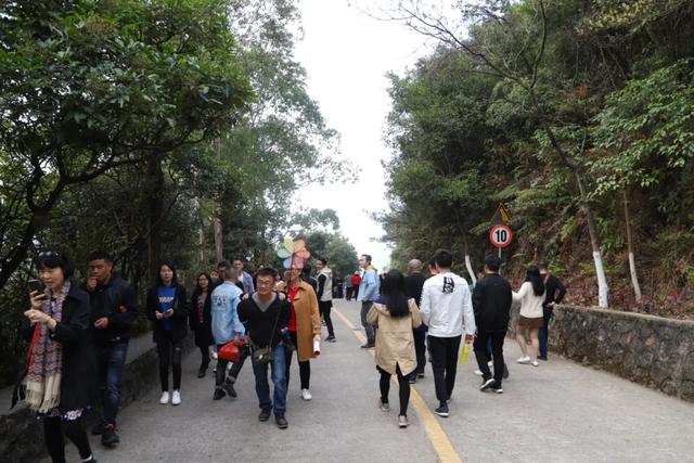 新年登高赏景许心愿，东莞观音山福传万家