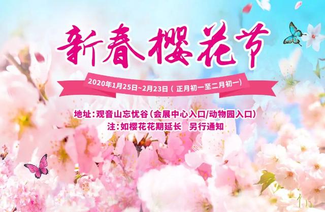 春风十里，因为有你，东莞观音山樱花节火爆来袭