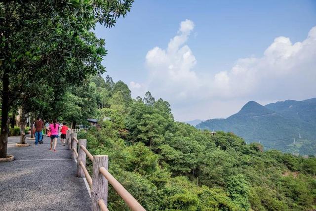 密林纯氧，登高洗肺，东莞观音山养心之旅