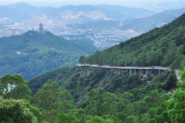 密林纯氧，登高洗肺，东莞观音山养心之旅