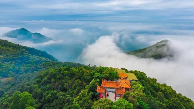 春风十里，我在东莞观音山等风也等你