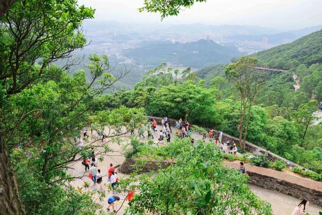 好山好景好空气，五一东莞观音山养心之旅