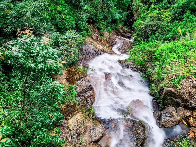秋游东莞观音山,赏花许愿,何其美哉