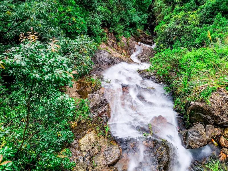 秋游东莞观音山，赏花许愿，何其美哉