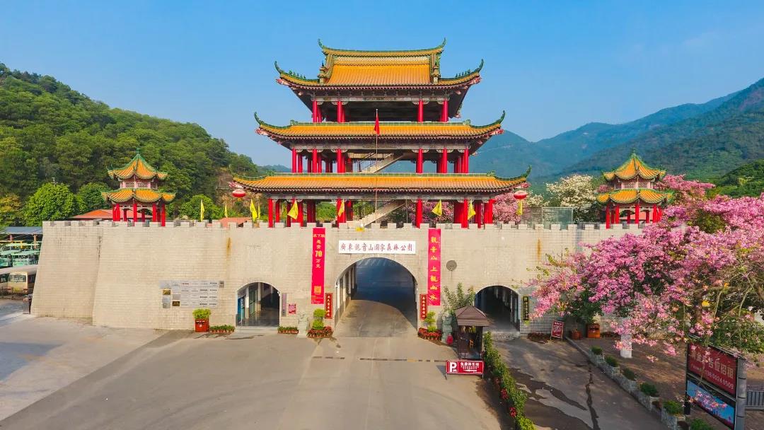秋游东莞观音山,赏花许愿,何其美哉