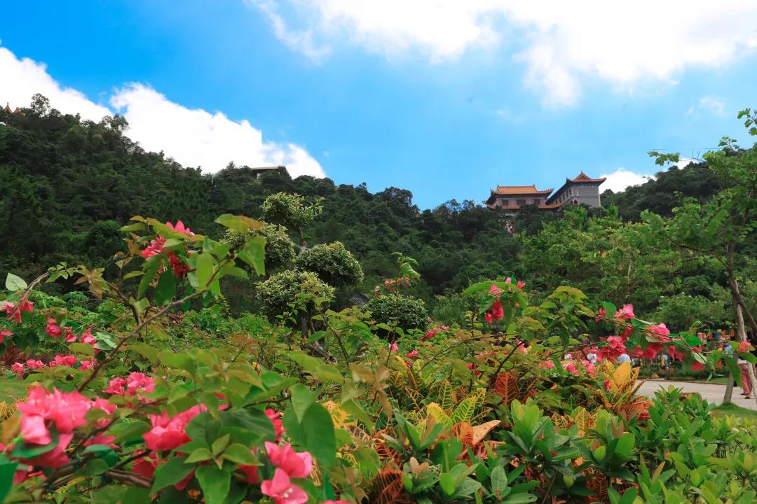 东莞观音山乘风破浪，不忘初心，喜迎建园21周年庆