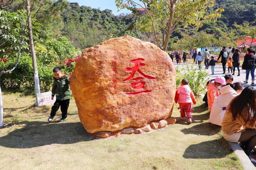 新春佳节登东莞观音山，赏花许愿，福气满满