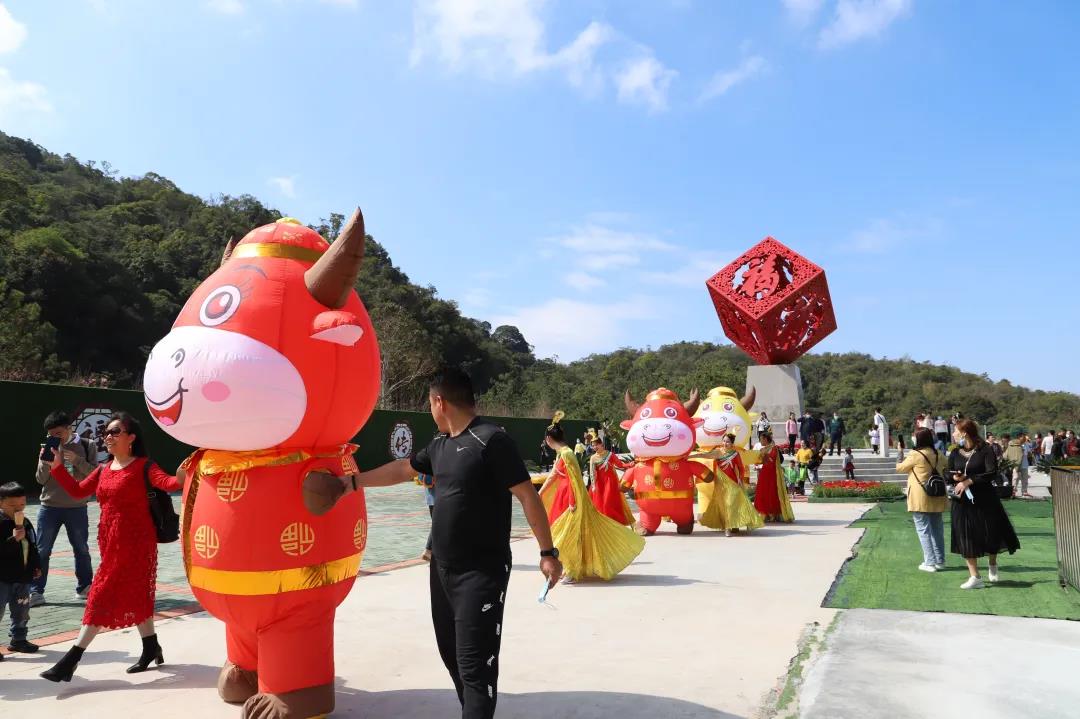 欢乐元宵节，东莞观音山看表演，祈福愿，财运旺