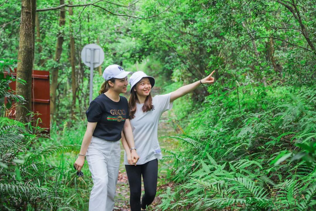 女神节，东莞观音山邀您免费畅游，赏花许愿，不负好春光