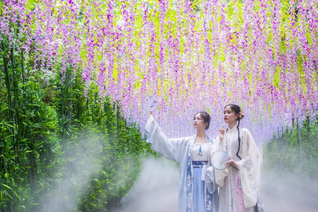 女神节，东莞观音山邀您免费畅游，赏花许愿，不负好春光