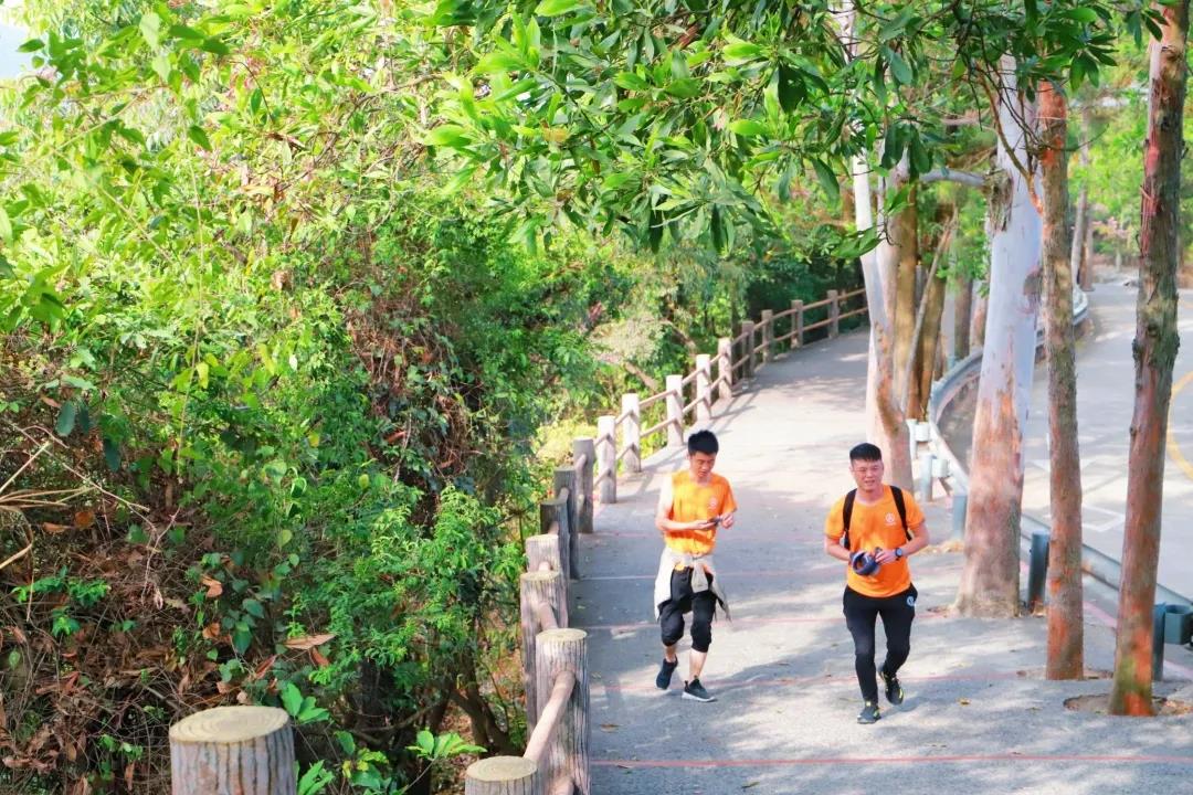 踏青出游首选地，东莞观音山登高许愿，好运连连