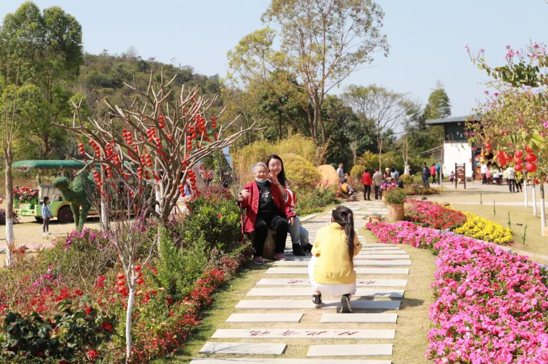 踏青出游首选地，东莞观音山登高许愿，好运连连