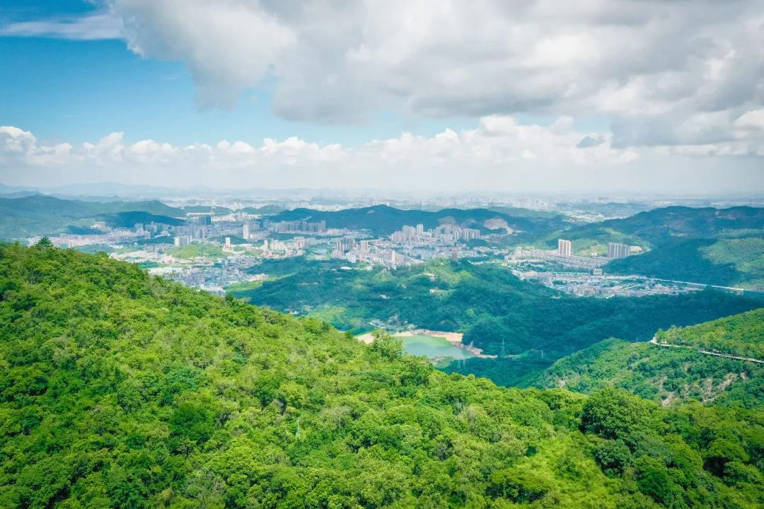 清明节踏青寻芳,带上无人机,相约东莞观音山