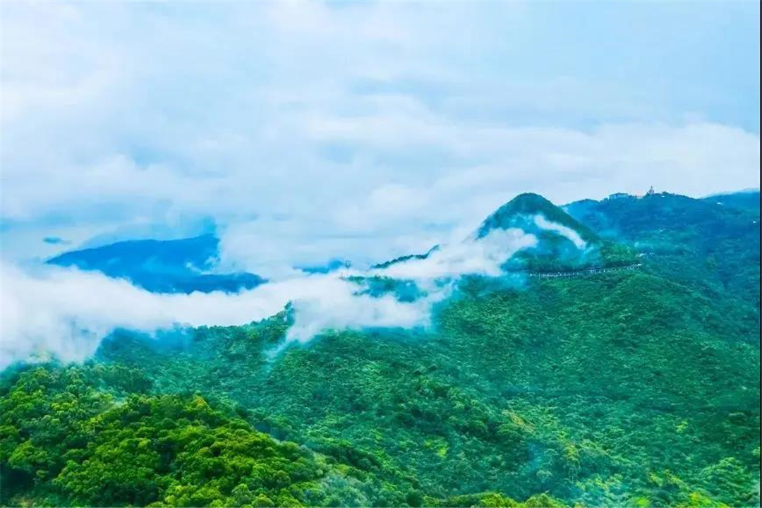 清明节踏青寻芳,带上无人机,相约东莞观音山