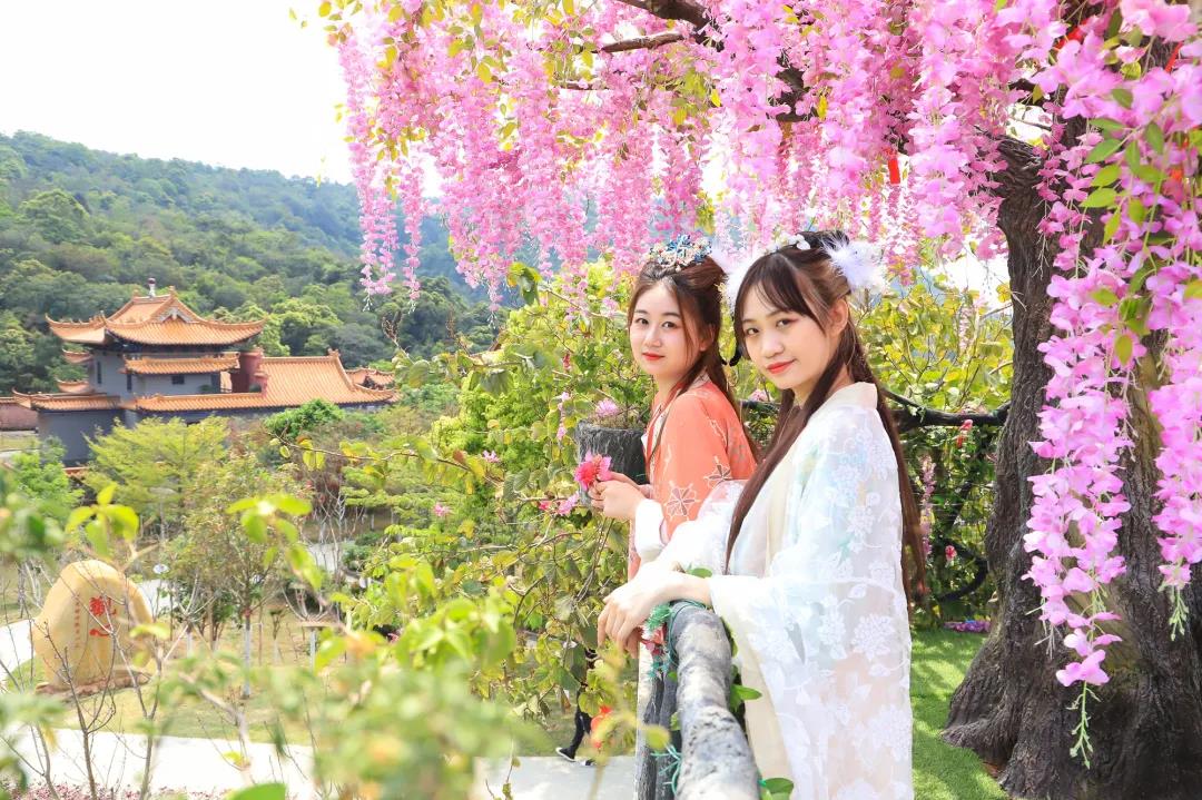 “粽”情端午,诵《观音山赋》享免费游园,还有机会领现金大奖