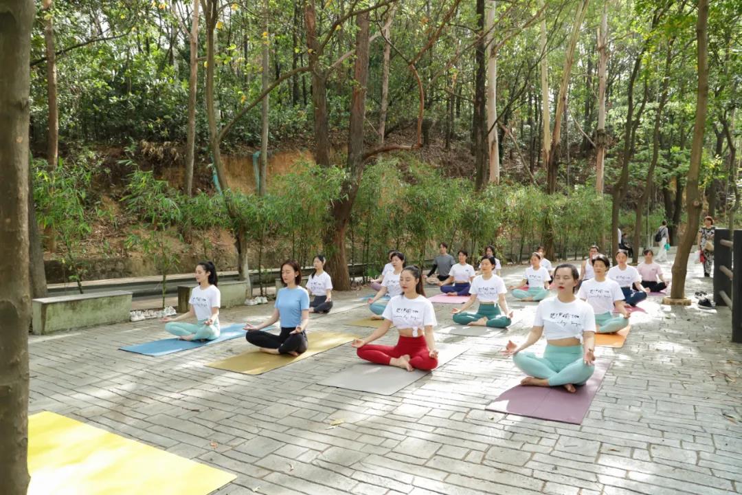 粤港澳大湾区第二届观音山森林文化节活动延期公告