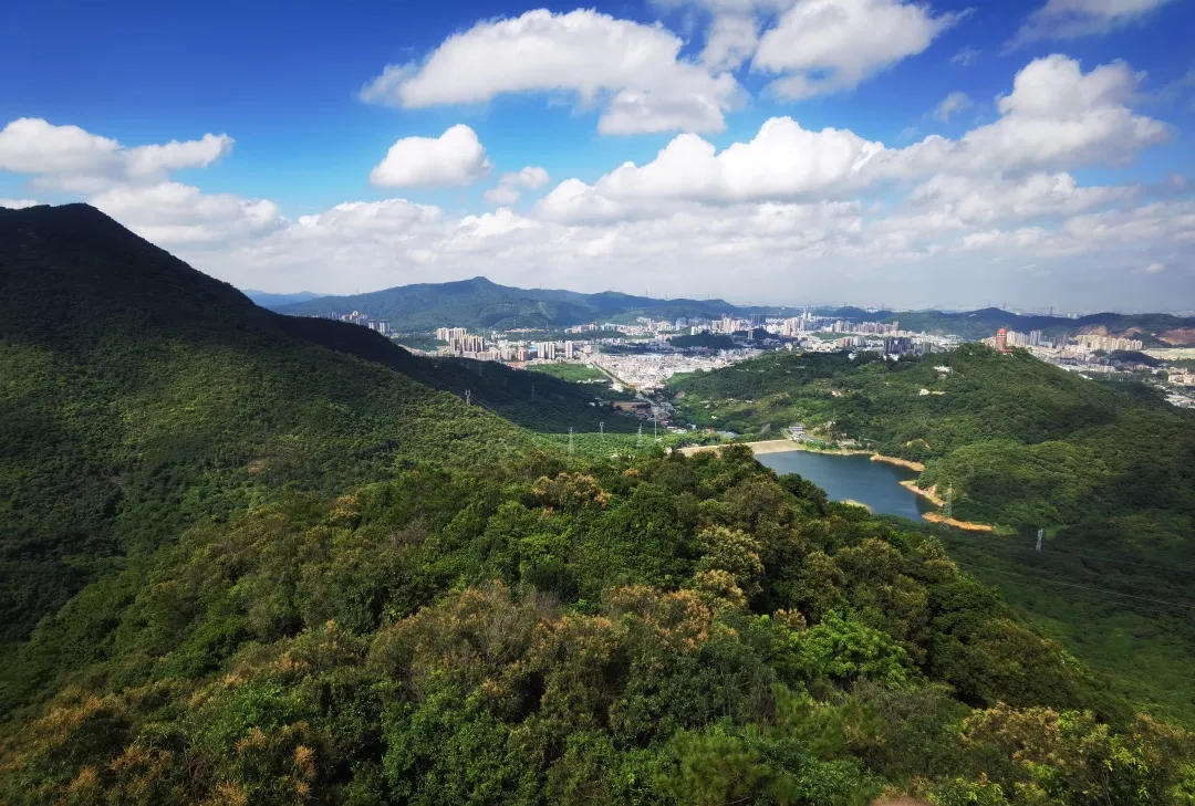 网红越野车、高空滑索...观音山宝藏级国庆畅游攻略，快快收藏