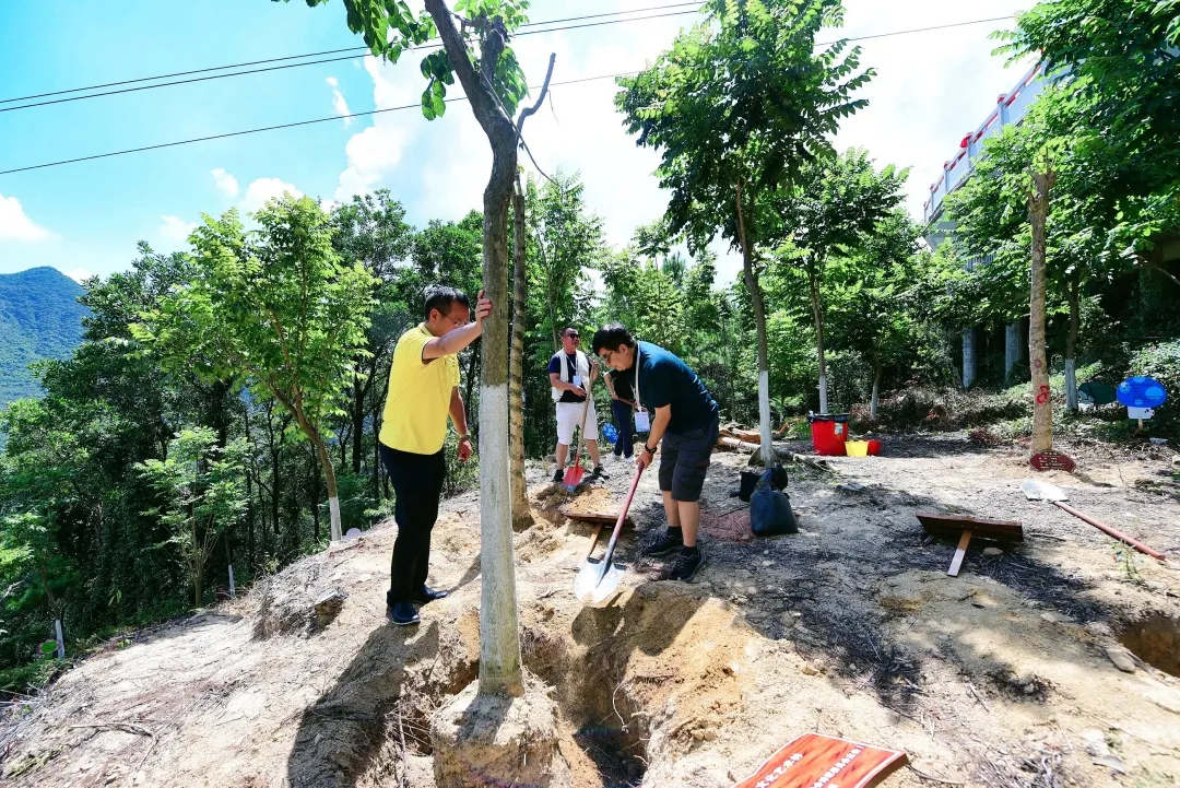 重磅！“品鉴岭南”中国著名作家采风团雅聚观音山