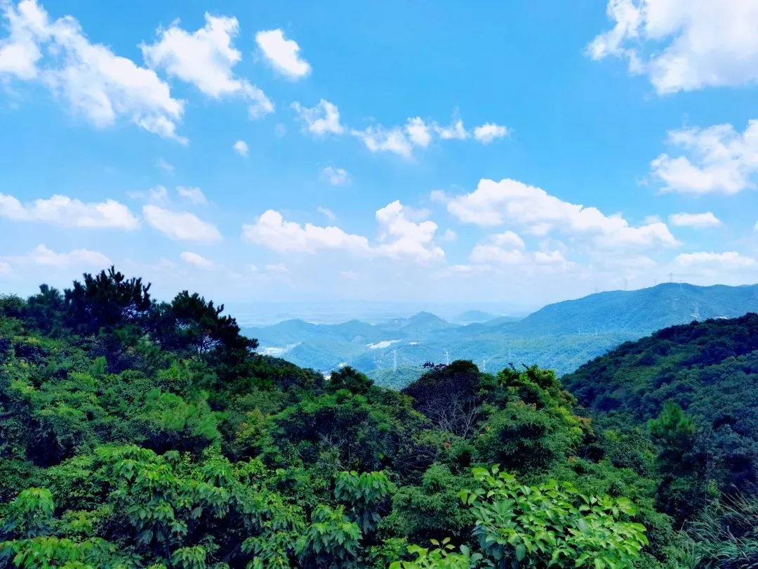 国庆打卡观音山，与国旗合影，为祖国送祝福，赢取家庭套票