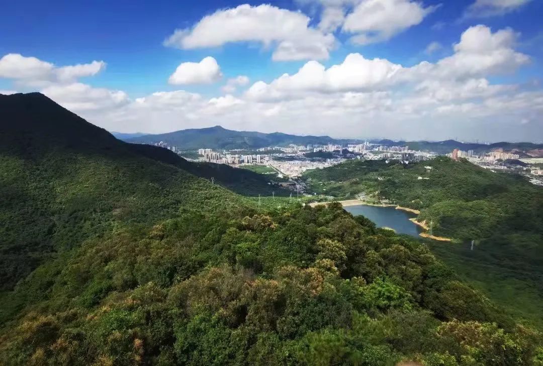 许愿接福迎新年，看完这篇最新跨年攻略，没理由不去东莞观音山