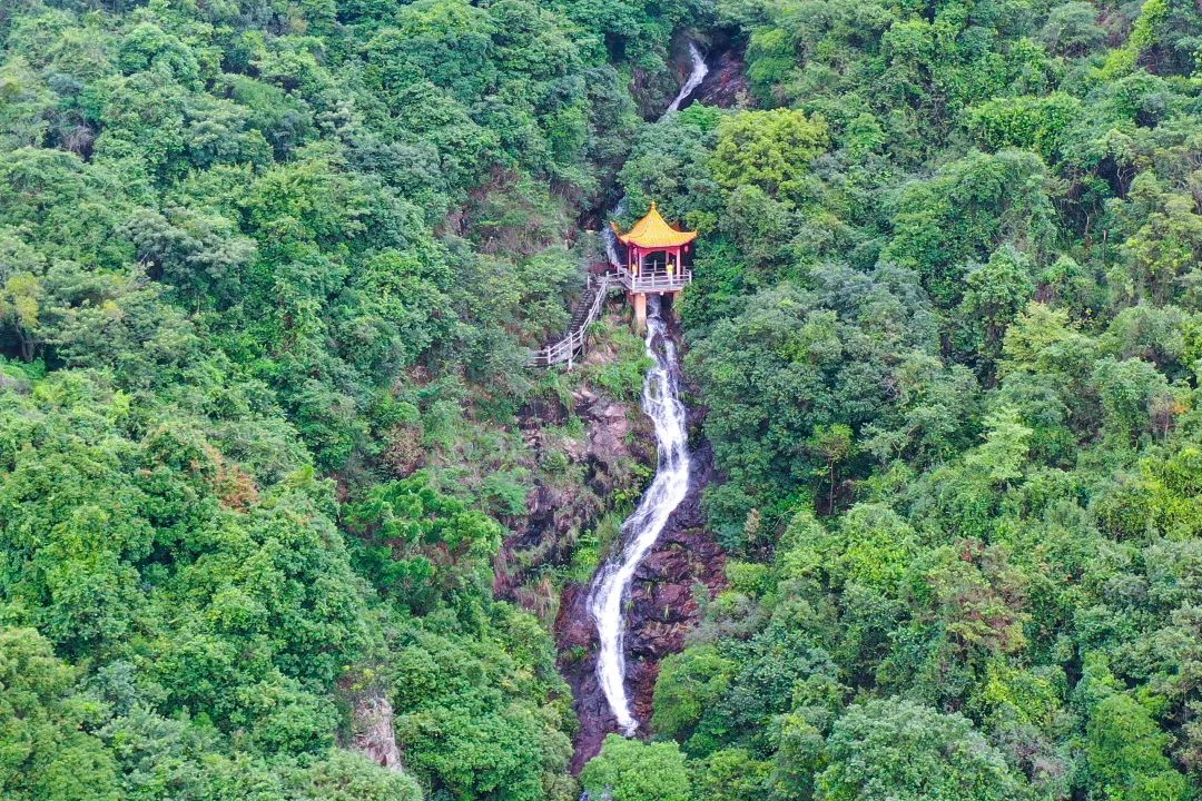 2021余额已不足！快来观音山辞旧迎新，登高许愿吧