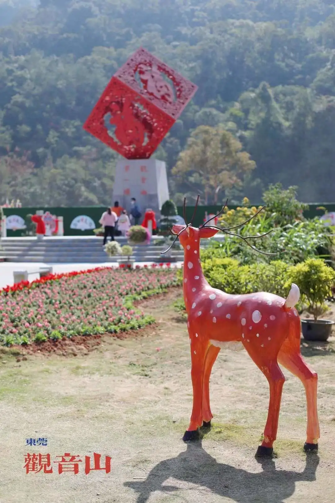 满山尽带虎年红,观音山上春节氛围浓,带您欢乐过大年