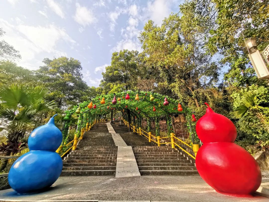 满山尽带虎年红,观音山上春节氛围浓,带您欢乐过大年