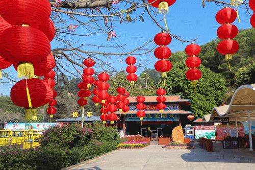 满山尽带虎年红,观音山上春节氛围浓,带您欢乐过大年