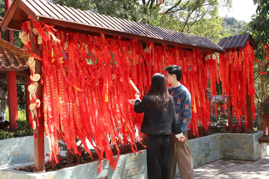 强势安利！网红打卡地东莞观音山，登高许愿还能拍美照，惊艳票圈